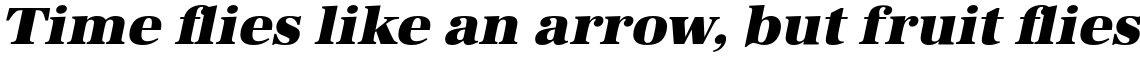 URW Antiqua Ultra Bold Wide Oblique