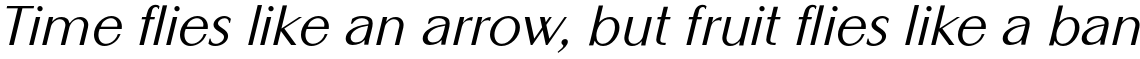 Altrincham Regular Oblique