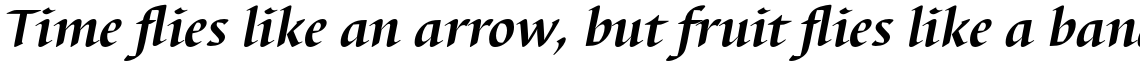 Barbedor Bold Italic