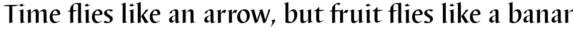 Barbedor Medium