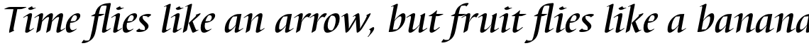 Barbedor Medium Italic