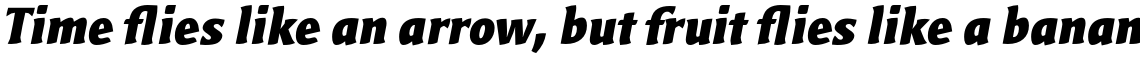 Bardi Ultra Bold Italic