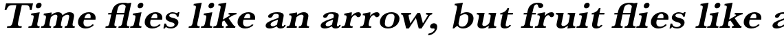 URW Baskerville Bold Extra Wide Oblique