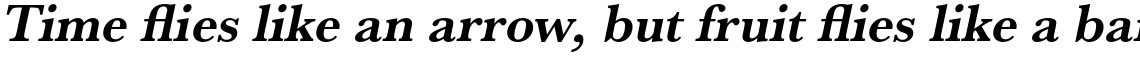 URW Baskerville Bold Oblique