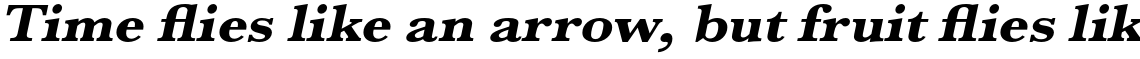 URW Baskerville Extra Bold Extra Wide Oblique