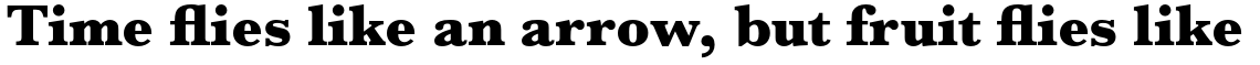 URW Baskerville Ultra Bold