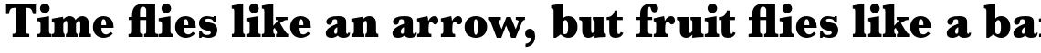 URW Baskerville Ultra Bold Extra Narrow