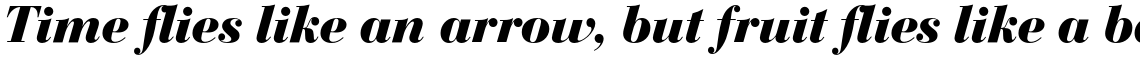 Bauer Bodoni Bold Italic