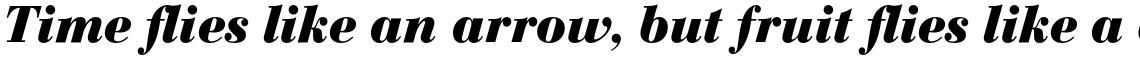 Bauer Bodoni Bold Italic