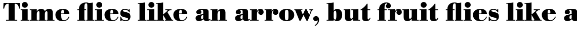 Bodoni Antiqua Bold