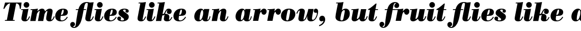 Bodoni Antiqua Bold Italic