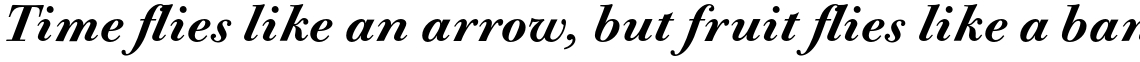 Bodoni Old Fashion URW Medium Italic