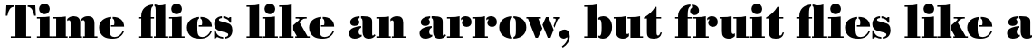 Bodoni Stencil Bold