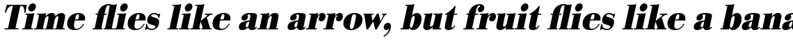 URW Bodoni Bold Extra Narrow Oblique