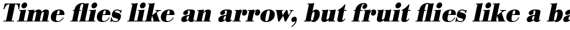 URW Bodoni Bold Narrow Oblique