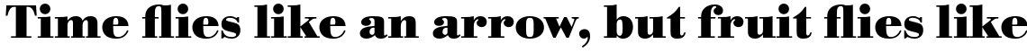 URW Bodoni Bold Wide