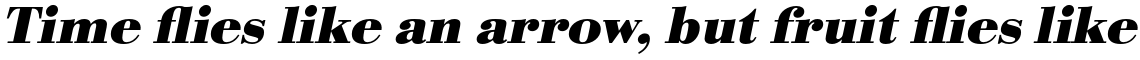 URW Bodoni Bold Wide Oblique