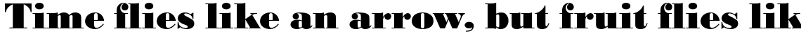 URW Bodoni Extra Bold