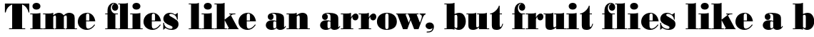URW Bodoni Extra Bold Extra Narrow