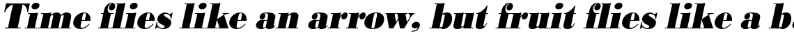 URW Bodoni Extra Bold Extra Narrow Oblique