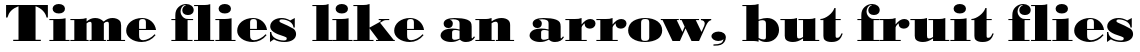 URW Bodoni Extra Bold Extra Wide