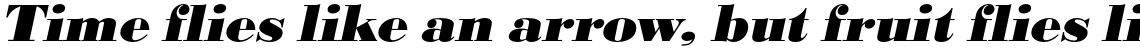 URW Bodoni Extra Bold Wide Oblique