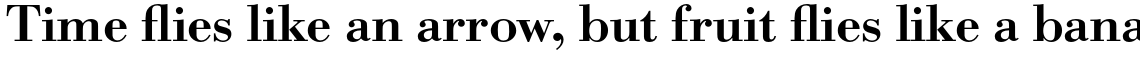 URW Bodoni Medium Wide