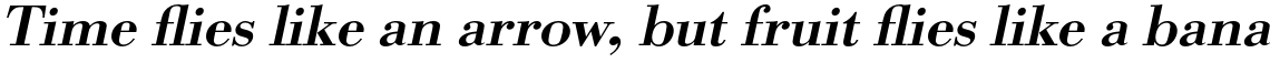 URW Bodoni Medium Wide Oblique