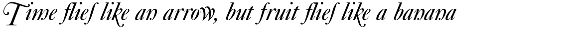 Caslon No540 Swash Alternative Italic
