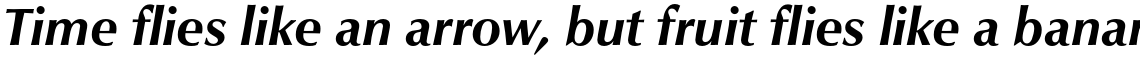 URW Classico Bold Italic