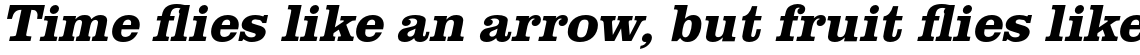 URW Clarendon Bold Oblique