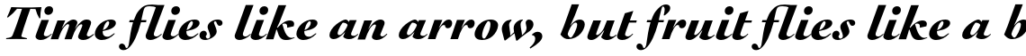 Cochin URW Black Italic