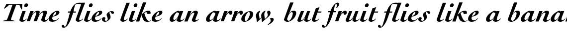 Cochin URW Bold Italic