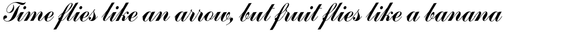 Commercial Script