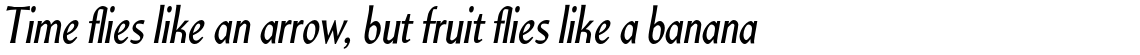 Continental URW Regular Italic