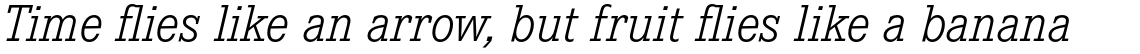 Corporate E Light Italic