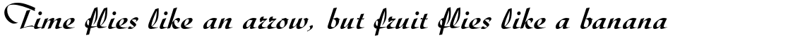 Diskus Medium