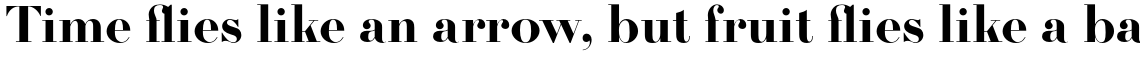 Firmin Didot URW Bold