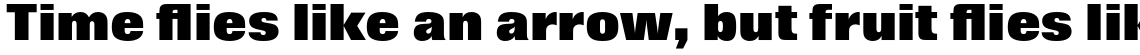 Folio Extra Bold