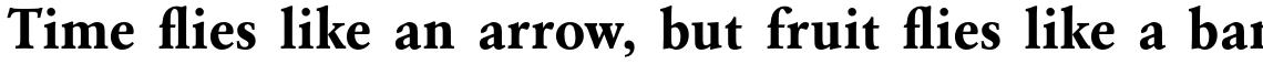 URW Garamond Bold
