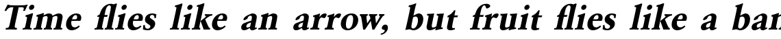 URW Garamond Bold Oblique