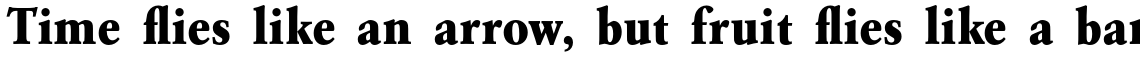 URW Garamond Extra Bold Narrow