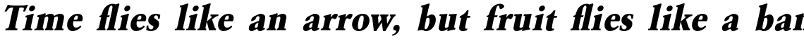 URW Garamond Extra Bold Narrow Oblique