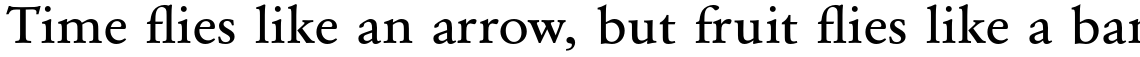 URW Garamond Medium Extra Wide