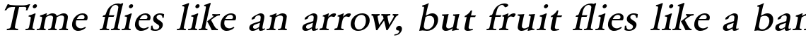 URW Garamond Medium Extra Wide Oblique