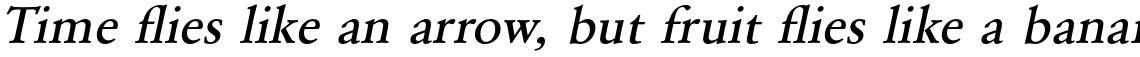 URW Garamond Medium Wide Oblique