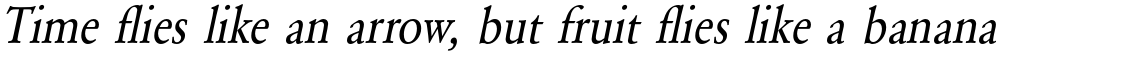 URW Garamond Regular Extra Narrow Oblique