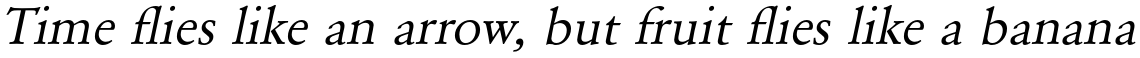 URW Garamond Regular Wide Oblique