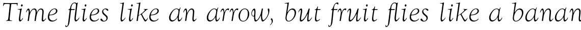 Goudy Light Italic