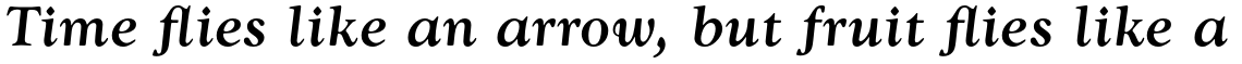 Goudy Medium Italic
